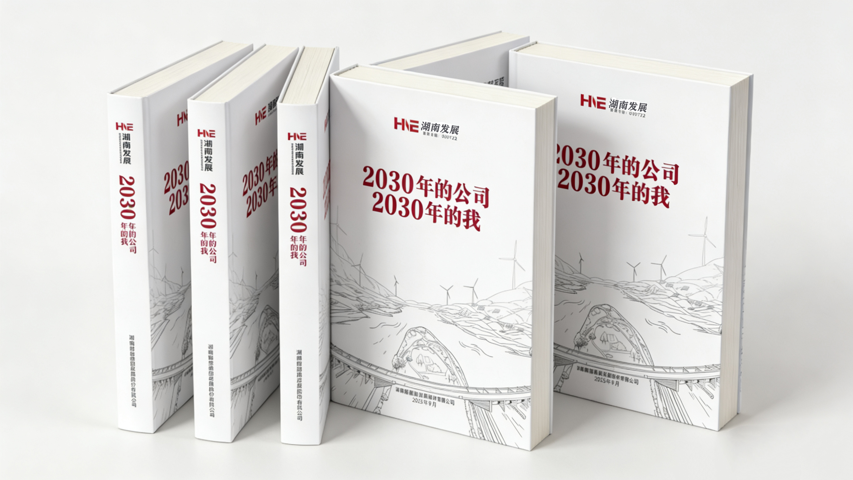 汇聚奋进力量  共话未来蓝图——湖南发展“2030年的公司2030年的我”系列主题活动圆满收官